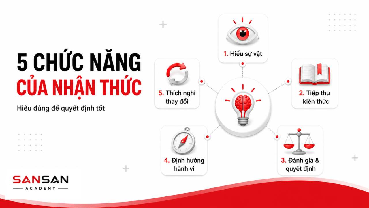 Năm chức năng của nhận thức gồm hiểu sự vật, tiếp thu kiến thức, đánh giá, định hướng hành vi và thích nghi với thay đổi.