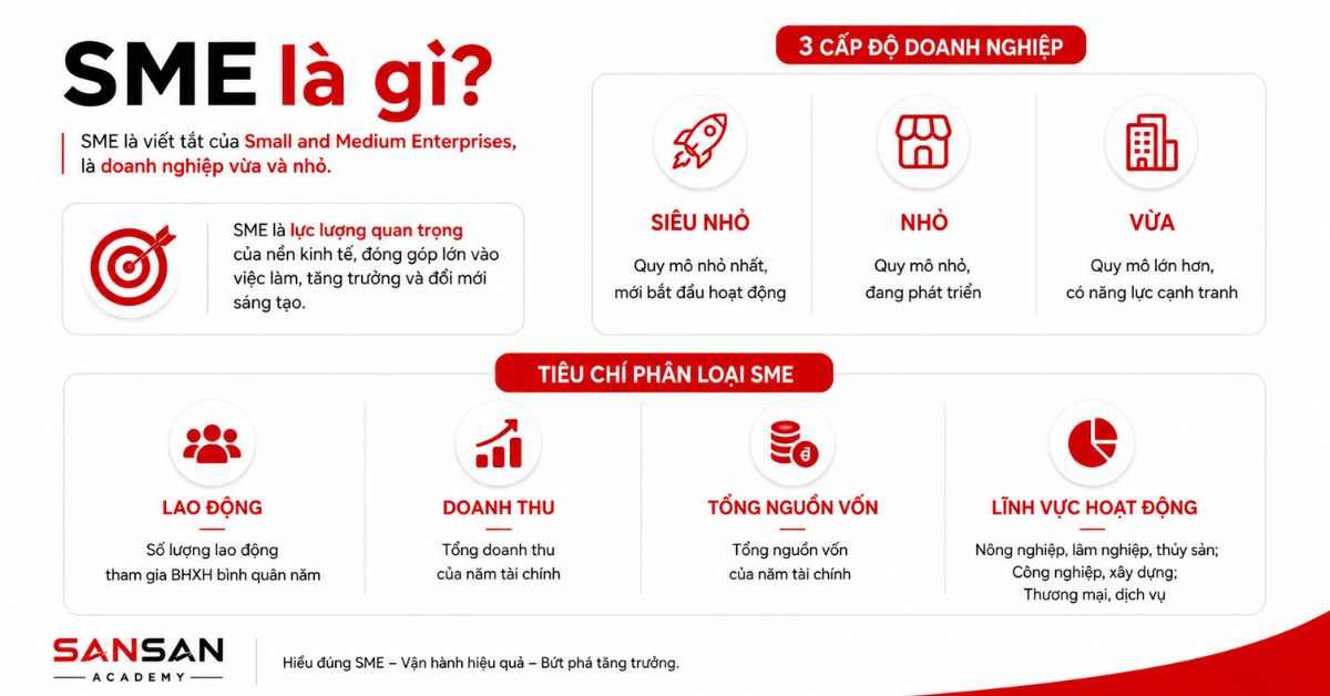 Sơ đồ phân loại SME theo lao động, doanh thu, nguồn vốn và lĩnh vực