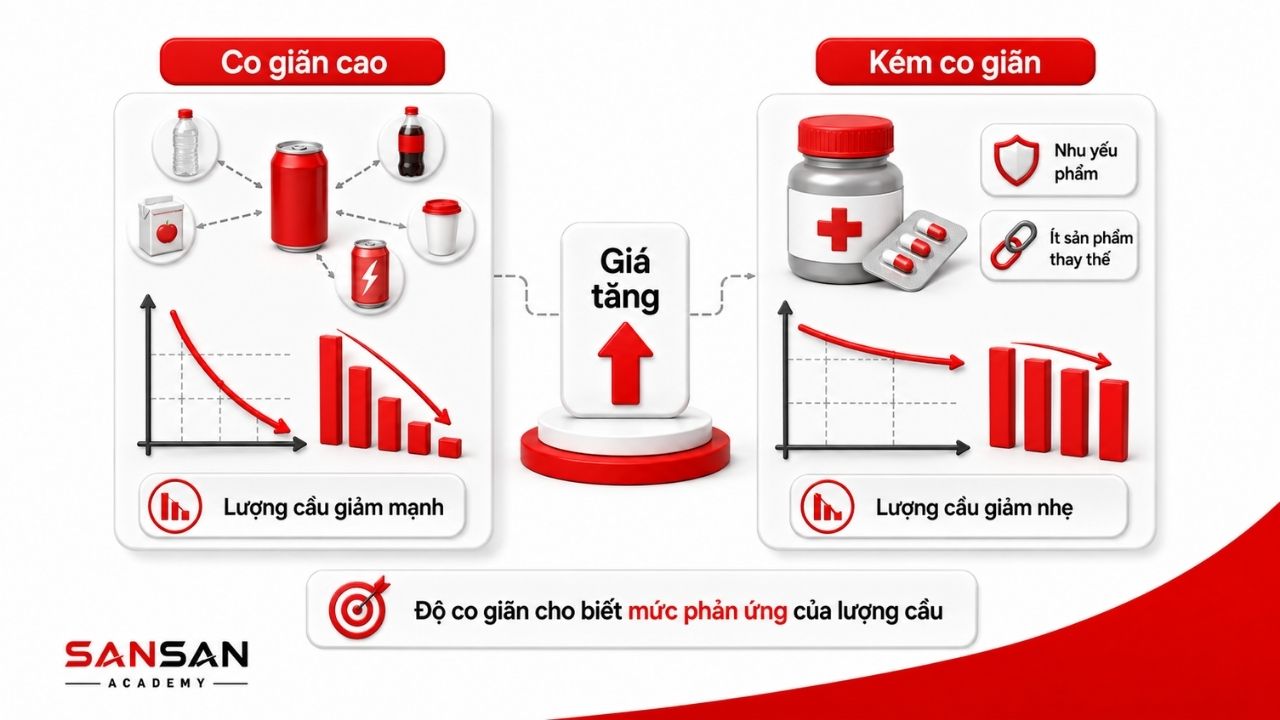 So sánh cầu co giãn cao và cầu kém co giãn
