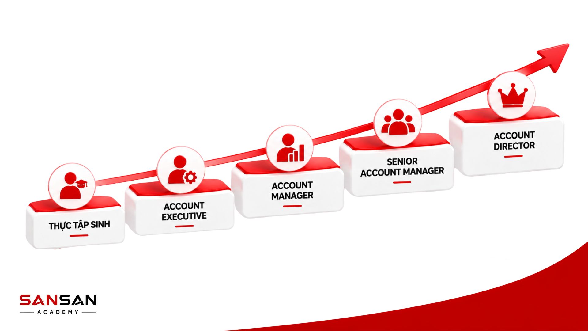 Lộ trình nghề Account Manager từ thực tập sinh, Account Executive đến Senior Account Manager và Account Director