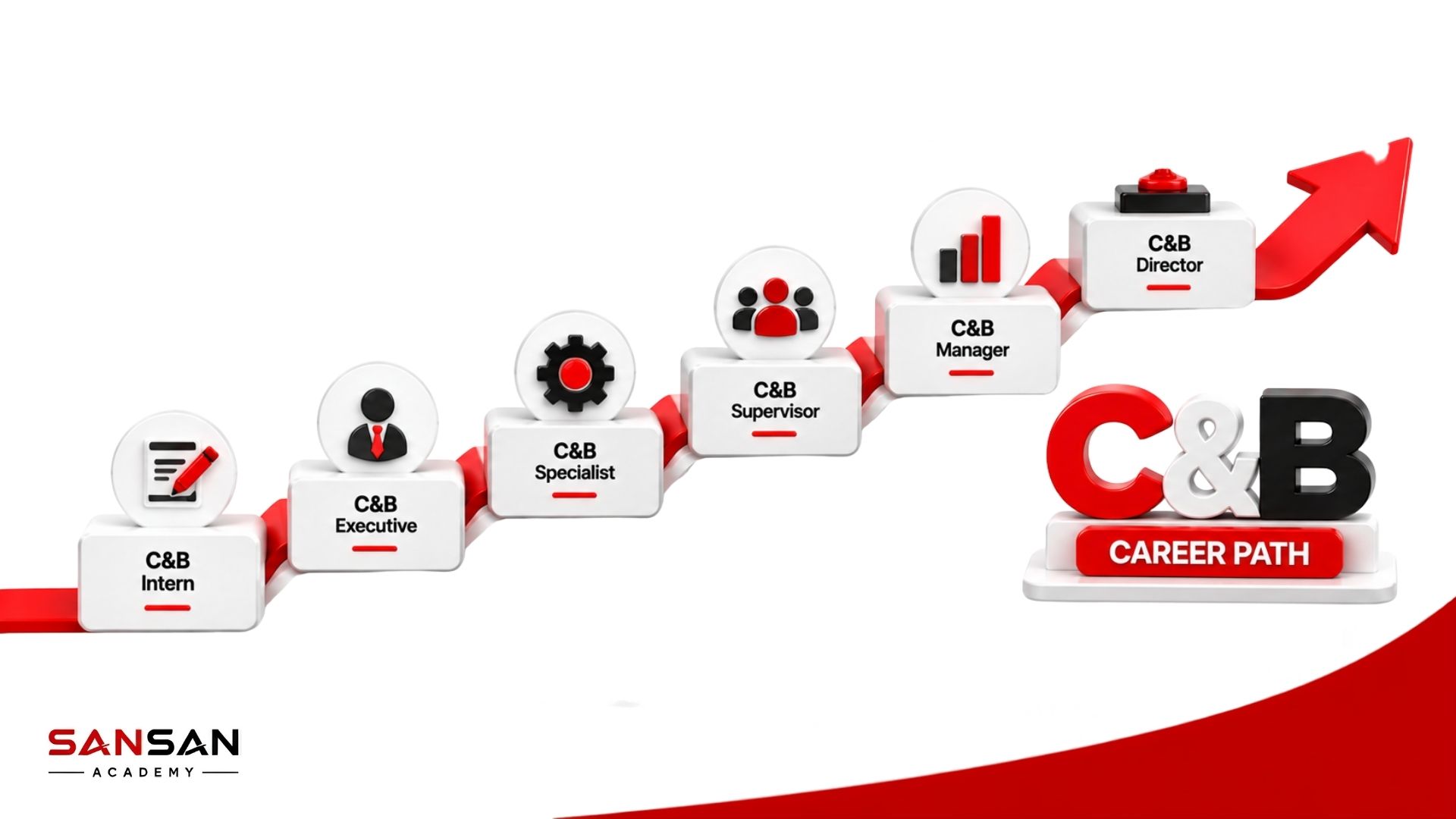 Lộ trình nghề C&B từ Intern Executive Specialist Supervisor Manager đến Director