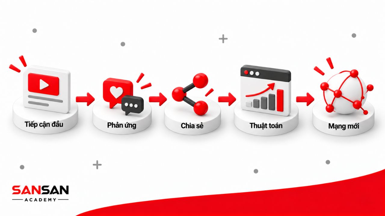 Viral content đi từ tiếp cận đầu, phản ứng, chia sẻ, thuật toán đến mạng lưới mới.
