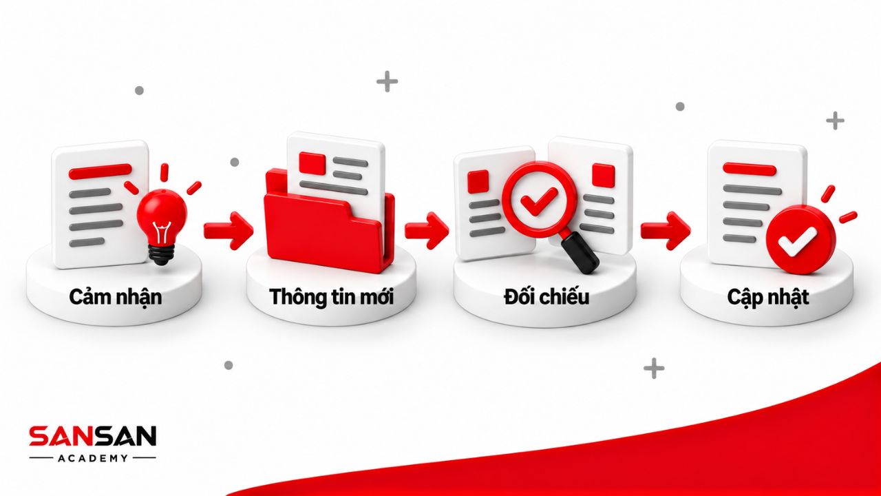 Đối chiếu cảm nhận ban đầu với thông tin mới để cập nhật nhận định.