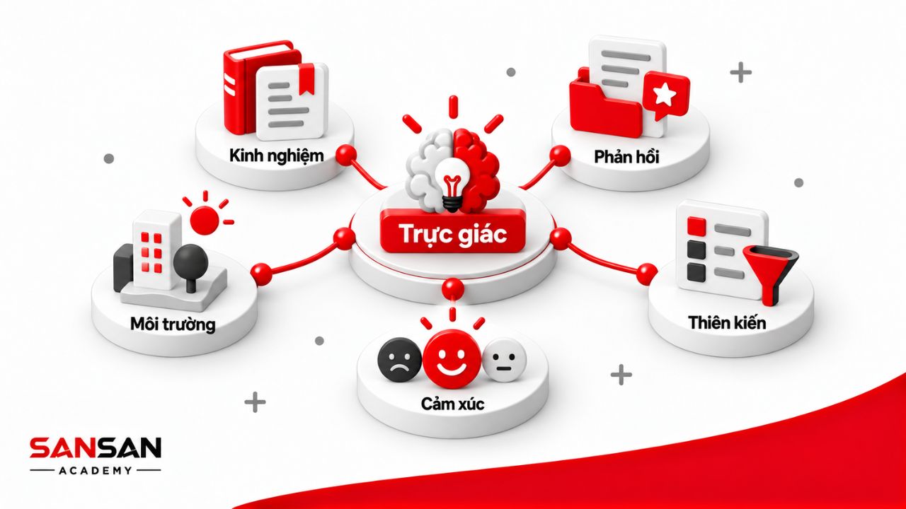 Kinh nghiệm, phản hồi, môi trường, cảm xúc và thiên kiến tác động đến phán đoán.