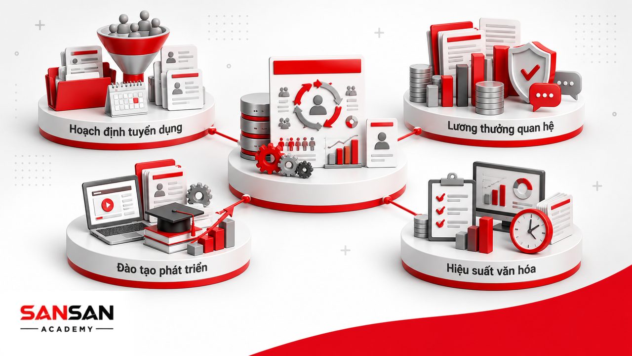 Chức năng phòng nhân sự gồm hoạch định nhân lực, tuyển dụng, lương thưởng, quan hệ lao động, đào tạo, hiệu suất và văn hóa doanh nghiệp.