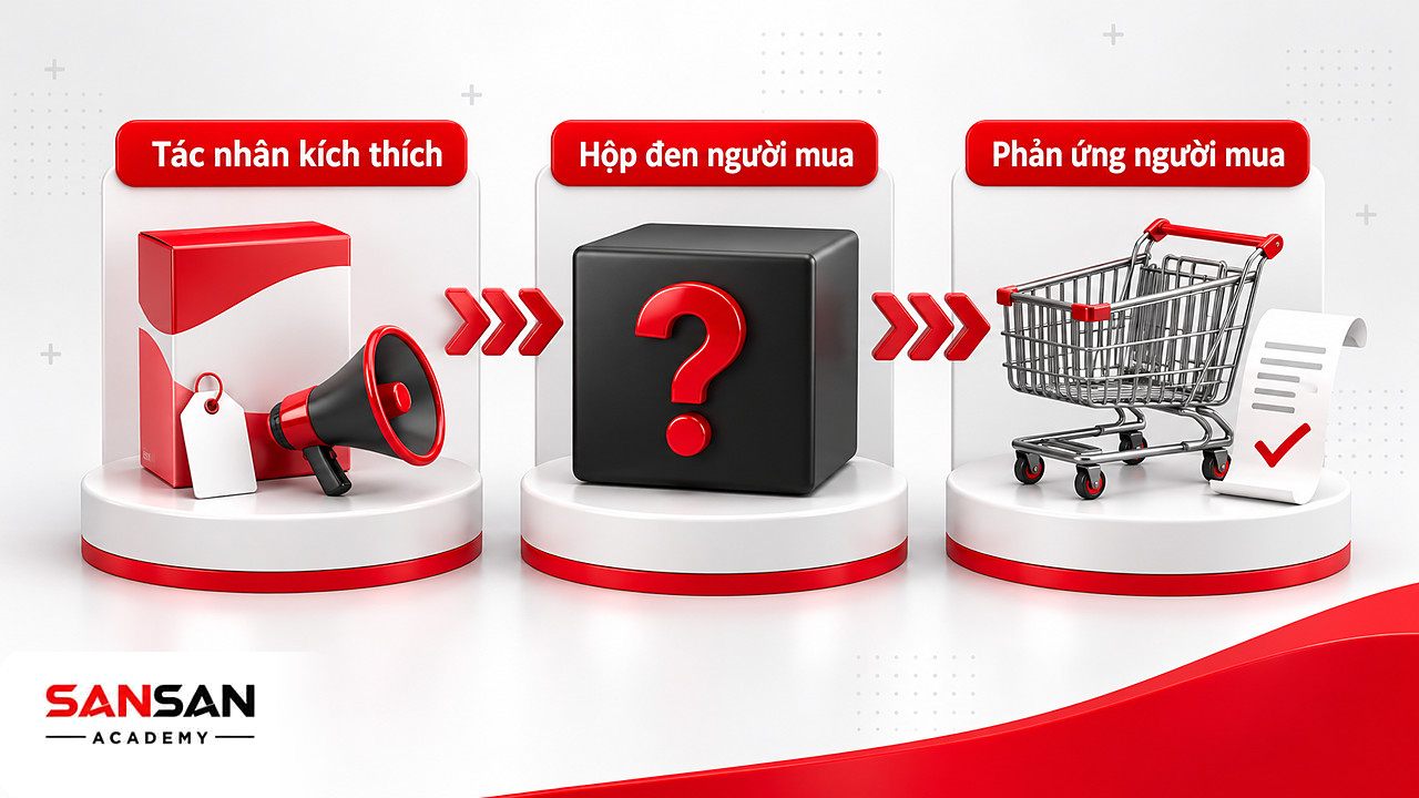 Ba chặng tác nhân kích thích, hộp đen và phản ứng trong mô hình hành vi khách hàng của Philip Kotler