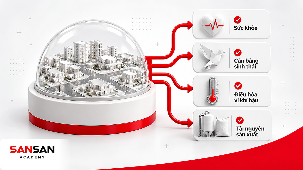 Mô hình khu dân cư sạch tỏa bốn nhánh sức khỏe, cân bằng sinh thái, vi khí hậu và tài nguyên của môi trường xanh